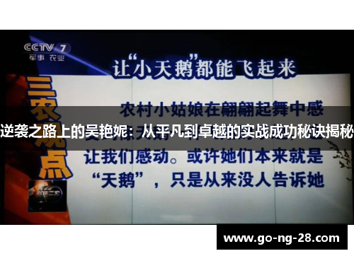 逆袭之路上的吴艳妮：从平凡到卓越的实战成功秘诀揭秘