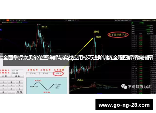 全面掌握坎贝尔位置详解与实战应用技巧进阶训练全程图解精编指南