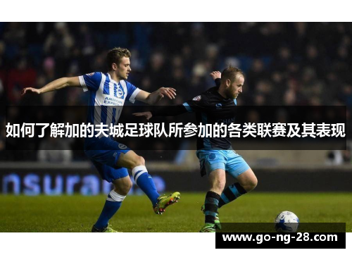 如何了解加的夫城足球队所参加的各类联赛及其表现 如何了解加的夫城足球队所参加的各类联赛及其表现