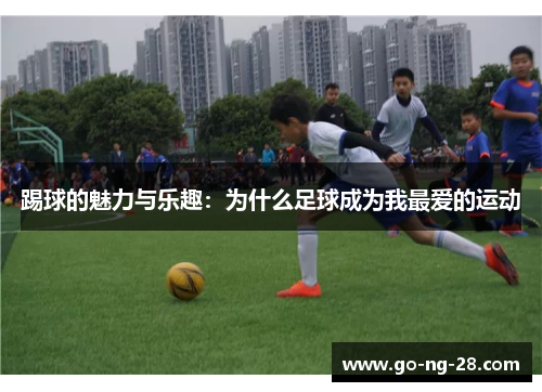 踢球的魅力与乐趣：为什么足球成为我最爱的运动