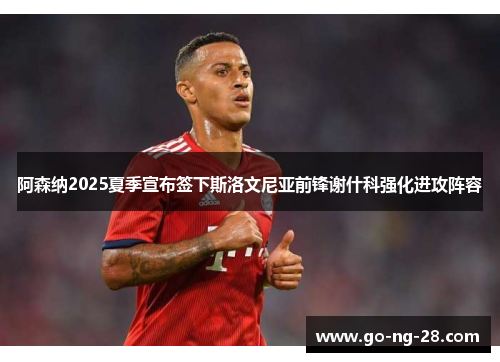 阿森纳2025夏季宣布签下斯洛文尼亚前锋谢什科强化进攻阵容