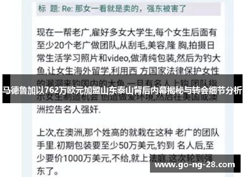 马德鲁加以762万欧元加盟山东泰山背后内幕揭秘与转会细节分析 马德鲁加以762万欧元加盟山东泰山背后内幕揭秘与转会细节分析