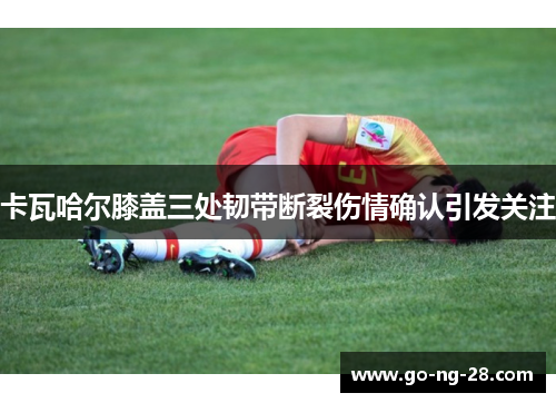 卡瓦哈尔膝盖三处韧带断裂伤情确认引发关注